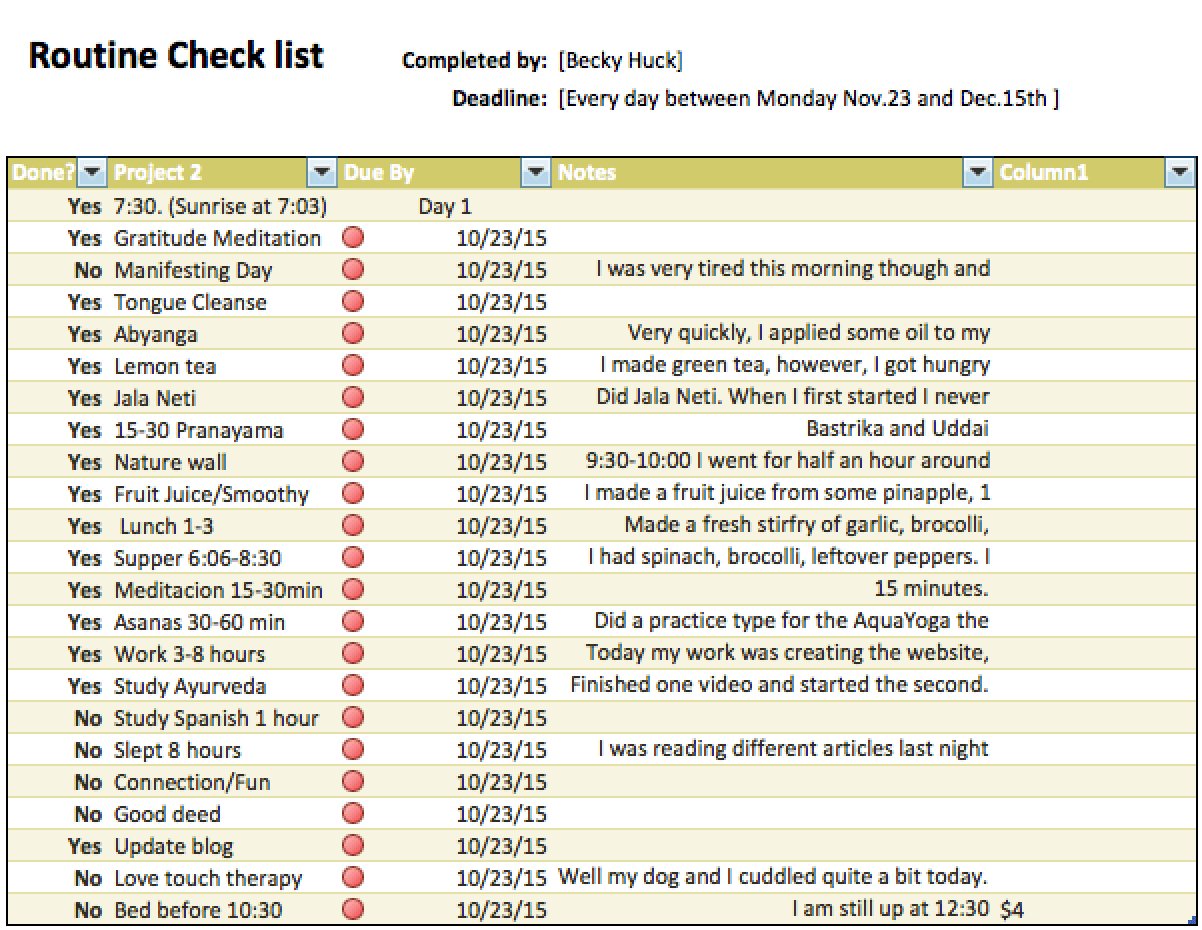 Routine Check List, Day 1